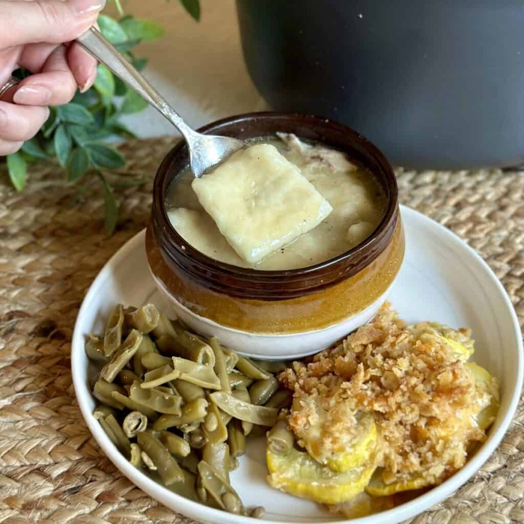 A bowl of chicken and dumplings.