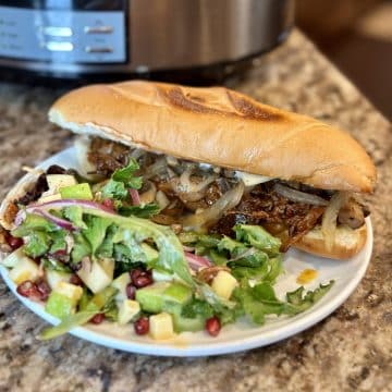 A shredded bbq beef sandwich with a salad.