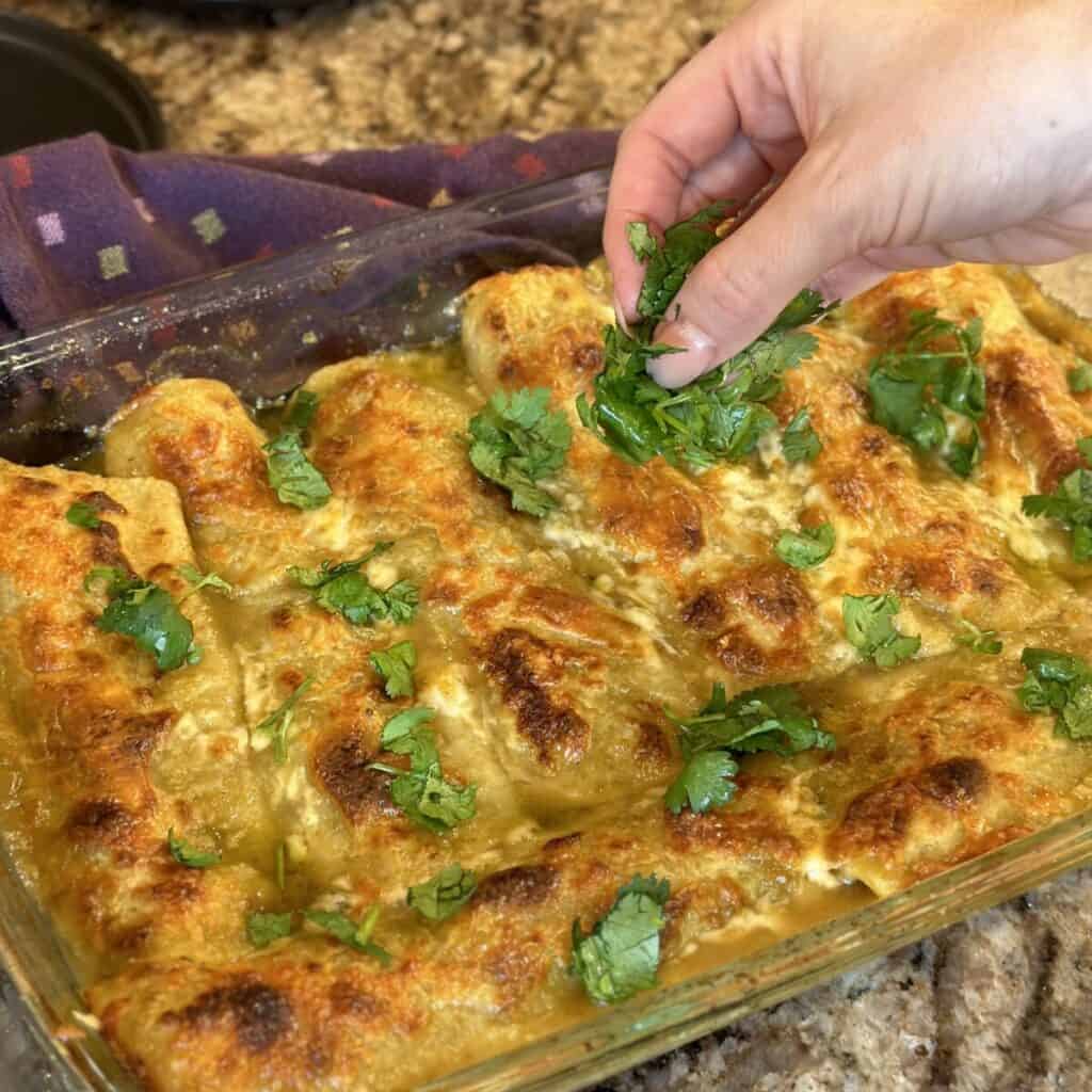 Adding cilantro to enchiladas.