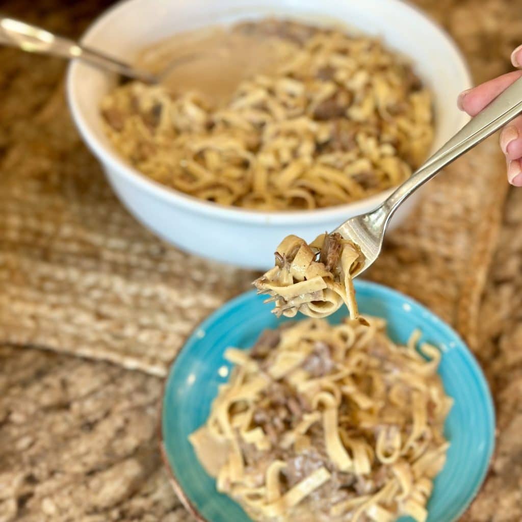 A fork gathering a bite of beef stroganoff to eat