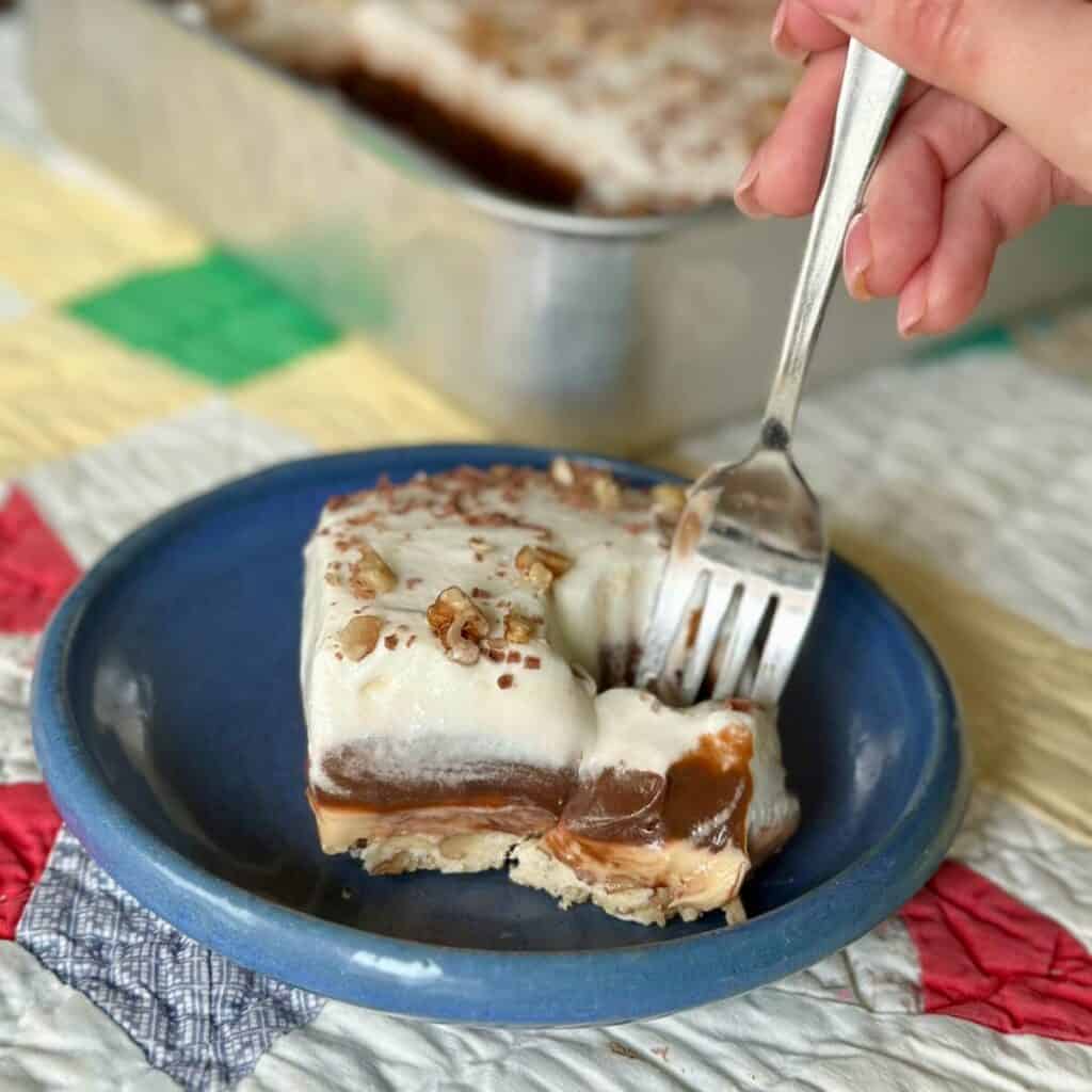 A slice of chocolate peanut butter dream on a plate.