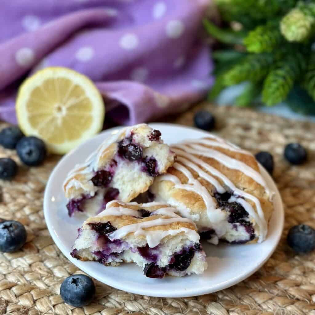 Two blueberry biscuits on a saucer.